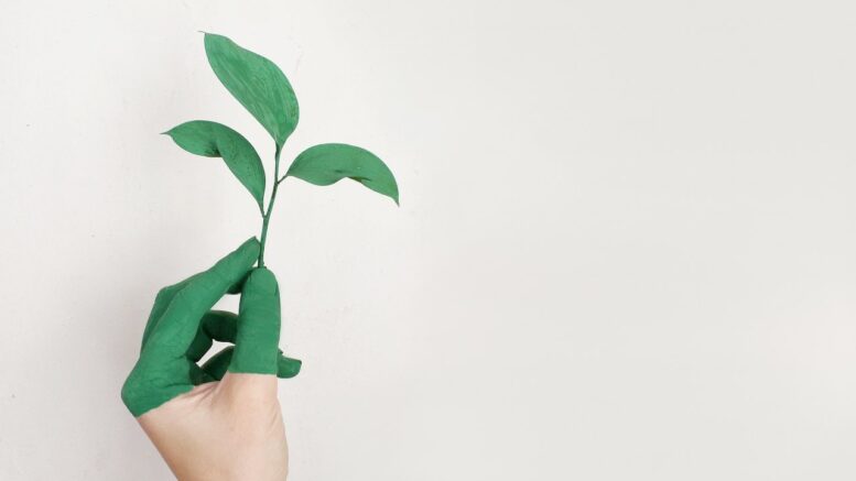 vivere green